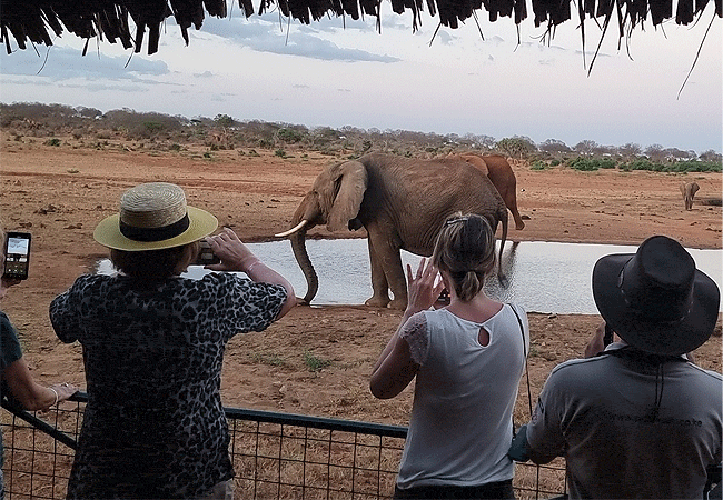 voi-wildlife-lodge -tsavo-east-national-park-watching-the-animals-visit-the-watering-hole Voi Wildlife Lodge Tsavo East National Park Kenya