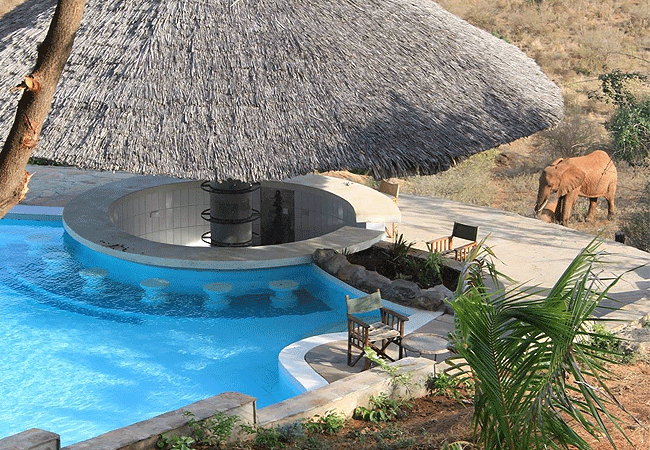 zomeni-lion-hill-lodge-tsavo-east-national-park-swimming pool-with-a-view-overlooking-the-park Zomeni Lion Hill Lodge Tsavo East National Park