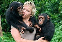 6 Days 5 Nights Uganda Safari Ngamba Chimpanzee Gorilla Trekking