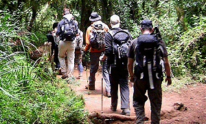 4 Days 3 Nights Kilimanjaro Climb Short Hike/ Trek – Tanzania Safari 