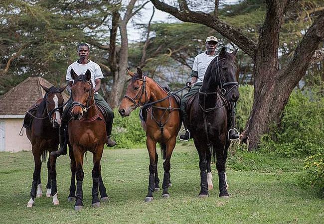 Loldia House Lake Naivasha
