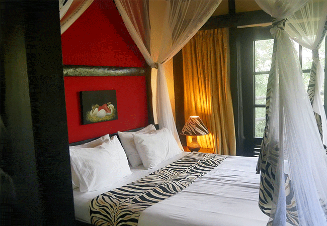 shimba-hills-lodge-hotel-mombasa-shimba-hills-national-reserve-is-the-only-tree-lodge-within-kenyas-coastal-rain-forest Shimba Hills Lodge Hotel Mombasa Shimba Hills National Reserve Kenya