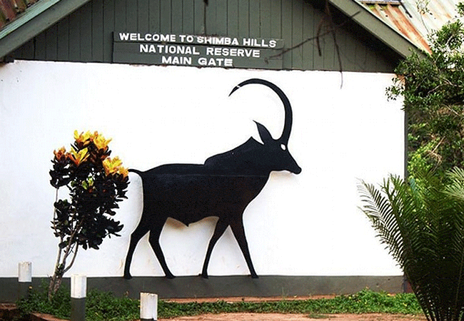 shimba-hills-lodge-hotel-mombasa-shimba-hills-national-reserve-main-gate Shimba Hills Lodge Hotel Mombasa Shimba Hills National Reserve Kenya
