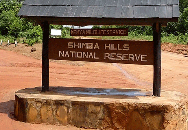shimba-hills-lodge-hotel-mombasa-shimba-hills-national-reserve-offers-a-unique-and-immersive-experience-with-its-treehouse-style-rooms-overlooking-a-waterhole-that-frequently-attracts-wildlife. Shimba Hills Lodge Hotel Mombasa Shimba Hills National Reserve Kenya