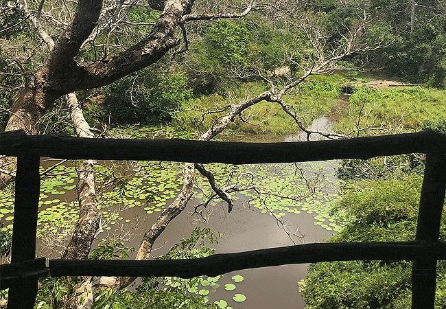 shimba-hills-lodge-hotel-mombasa-shimba-hills-national-reserve-rooms-come-with-decks-overlooking-the-watering-hole Shimba Hills Lodge Hotel Mombasa Shimba Hills National Reserve Kenya
