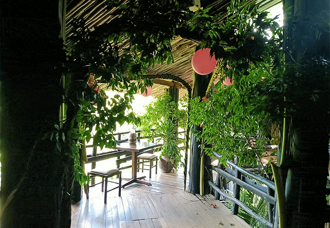 shimba-hills-lodge-shimba-hills-national-reserve-has-2-suites-3-triple-rooms-and-13-twin-rooms Shimba Hills Lodge Hotel Mombasa Shimba Hills National Reserve Kenya