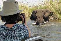 5 Days Uganda Safari Murchison Falls Queen Elizabeth National Park