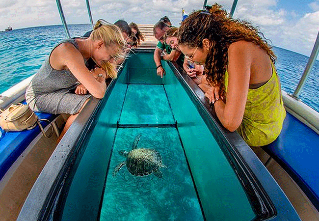 Watamu Marine Park glass bottom boat tour