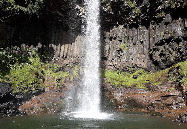 1 day fishing tour aberdare national park