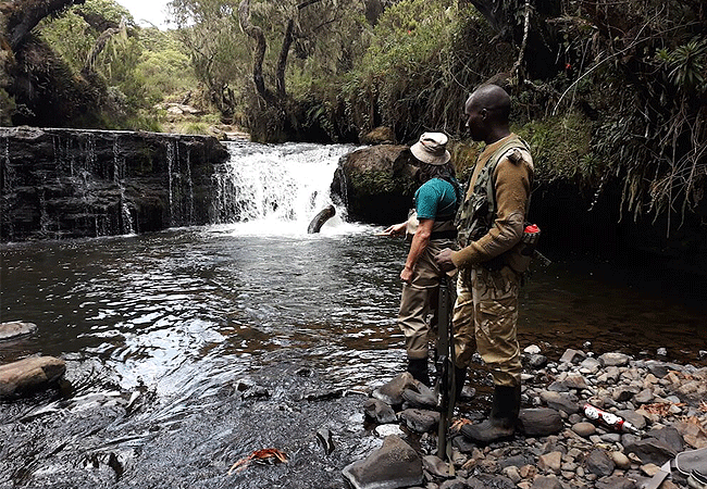 1 day fishing tour aberdare national park