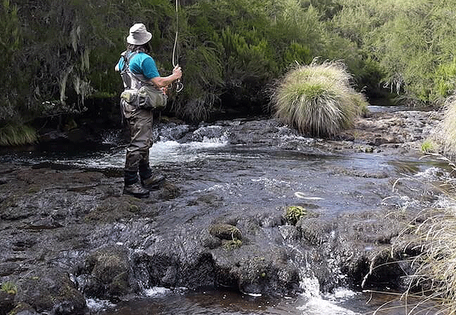 1 day fishing tour aberdare national park