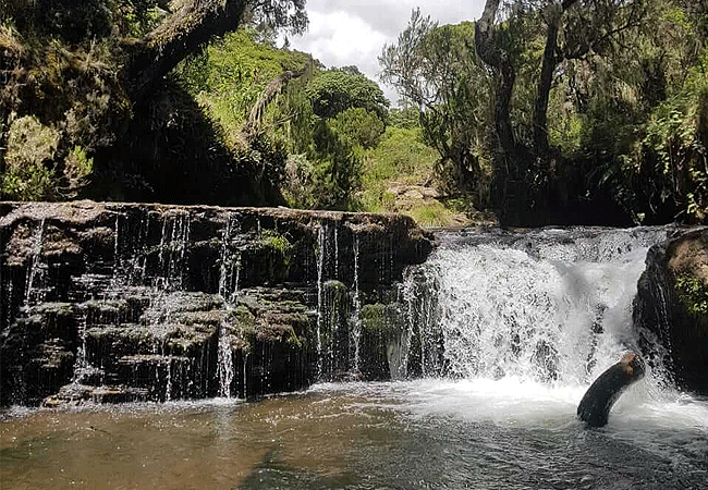 1 day fishing tour aberdare national park