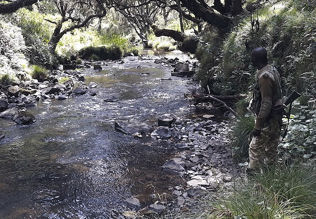 1 day fishing tour aberdare national park