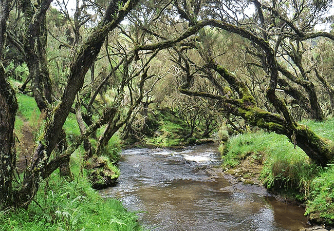 1 day fishing tour aberdare national park