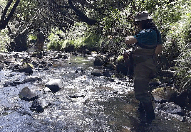 1 day fishing tour aberdare national park