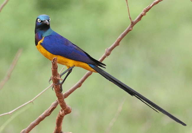 1 day fishing tour aberdare national park