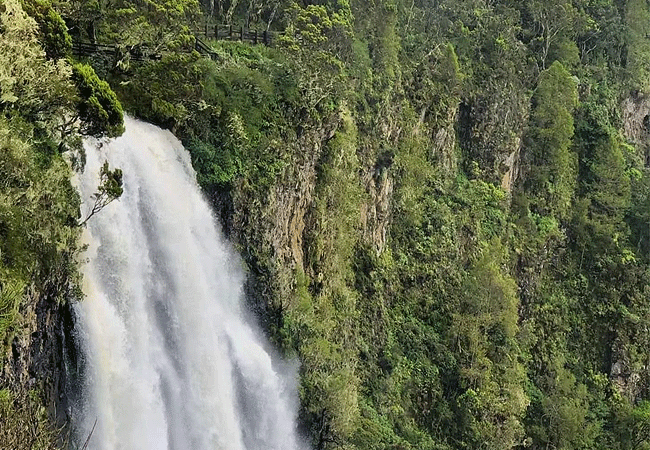 1 day fishing tour aberdare national park