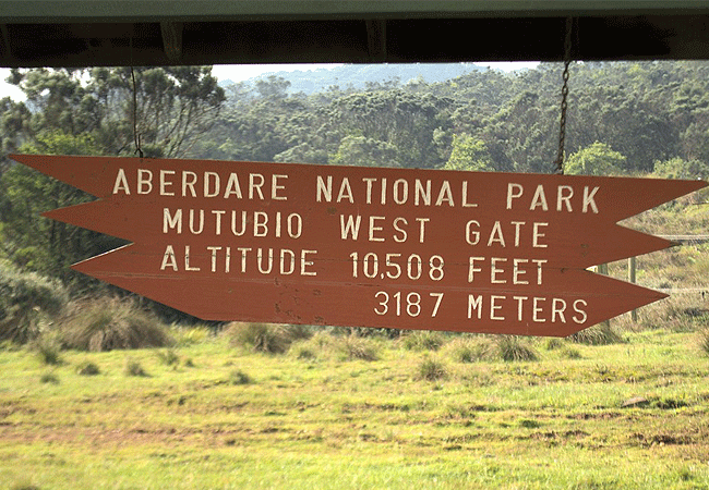 1 day fishing tour aberdare national park