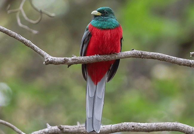 1 day fishing tour aberdare national park