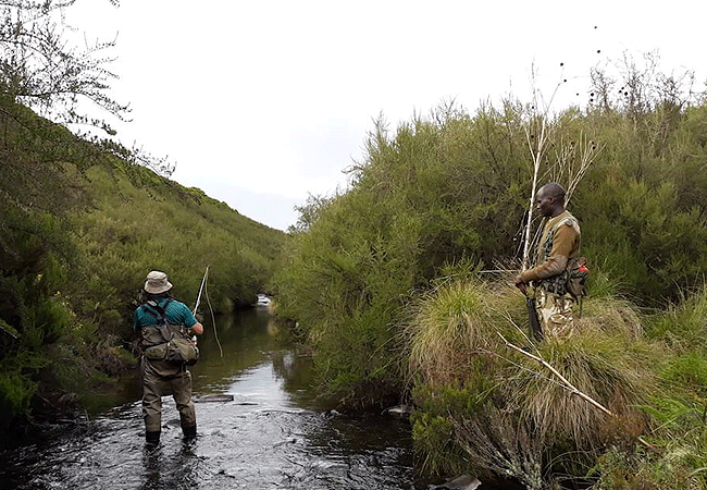 1 day fishing tour aberdare national park