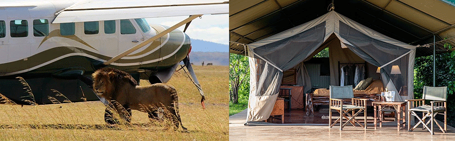 4 Days 3 Nights Kenya Fly-in Safari Governors Camp Masai Mara