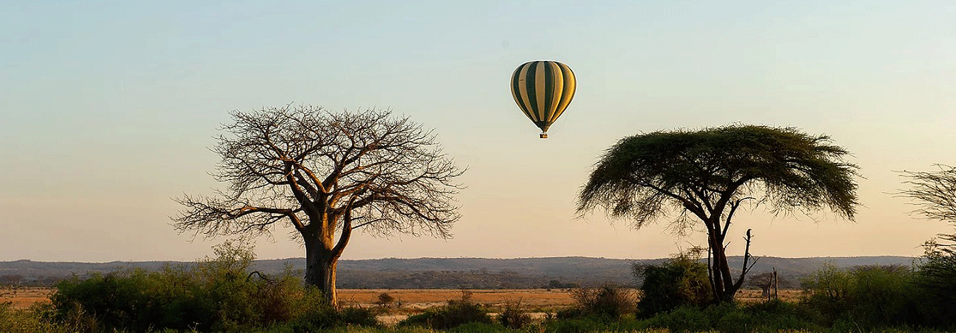 ruaha balloon safaris