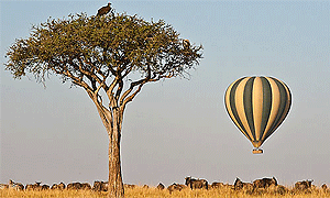  Hot Air Safaris Mara Ballooning Masai Mara National Reserve, Kenya