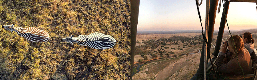 Balloon Safari Ruaha National Park Tanzania