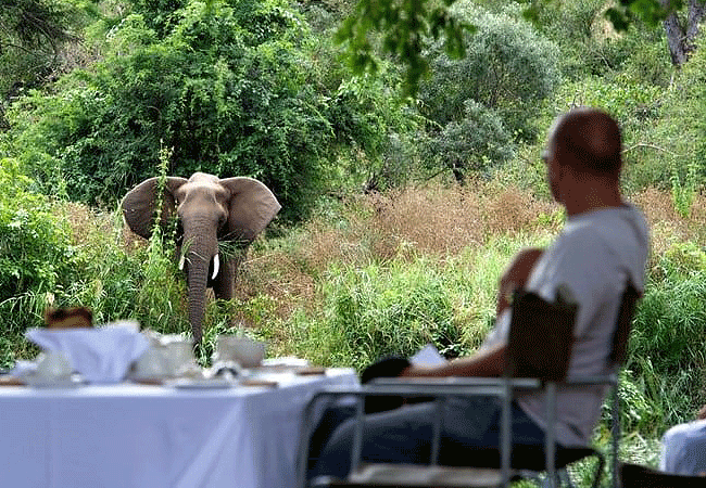 sabache-camp-samburu-breakfast-while-watching-elephants Sabache Camp Samburu National Reserve Kenya