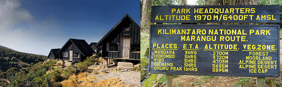 Climb Kilimanjaro Marangu Route