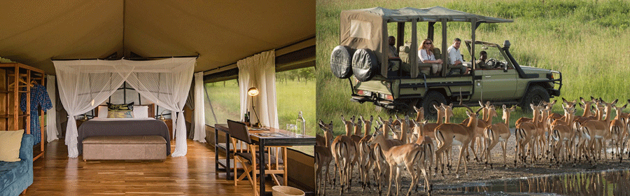 Dunia Camp Serengeti National Park.