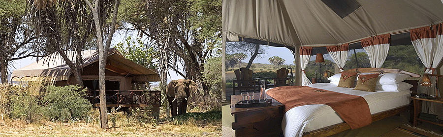 Elephant Bedroom Camp Samburu