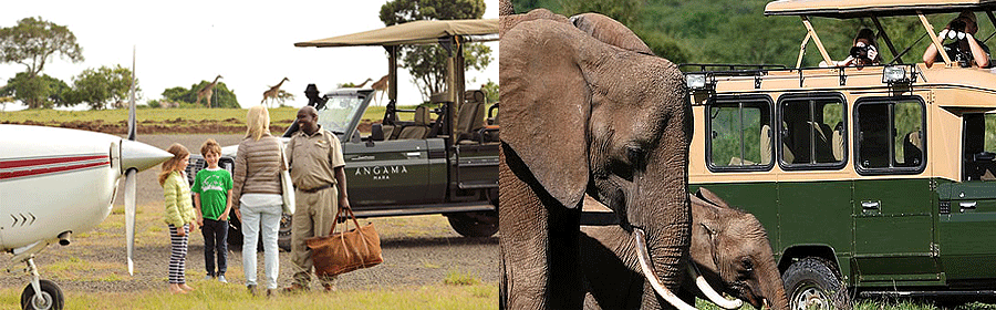 Kenya Road & Air Safaris