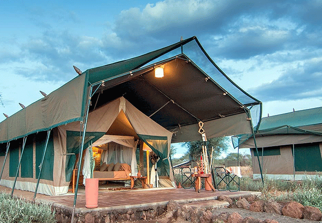 kibo-private-wing-amboseli-tent Kibo Safari Camp Private Wing Amboseli