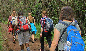 4 Days 3 Nights Kilimanjaro Climb Short Hike/ Trek – Tanzania Safari 
