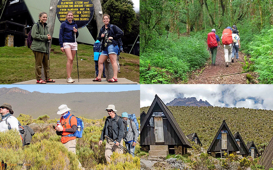 Climb Kilimanjaro Marangu Route 4 Days Hike Tanzania