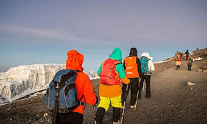 8 Days 7 Nights Luxury Climbing Mount Kilimanjaro Lemosho Route