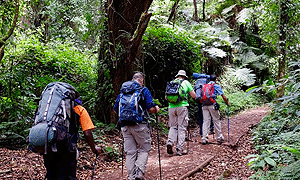 6 Days 5 Nights Mt Kilimanjaro Climbing, Hiking & Trekking (Lemosho Route) – From Arusha or Moshi Tanzania