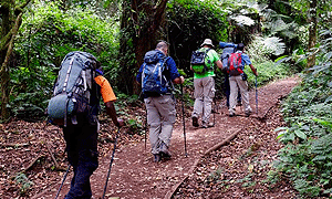  9 Days 8 Nights Climbing Mount Kilimanjaro Lemosho Route - From Arusha or Moshi