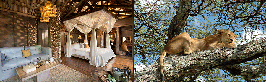 And beyond Lake Manyara Tree Lodge