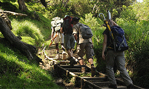  4 Days 3 Nights Mount Meru Trekking Trip – Arusha National Park From Arusha, Tanzania