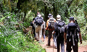1 Day Climbing Mount Kilimanjaro Hike – Tanzania Short Hike/ Trek from Arusha or Moshi