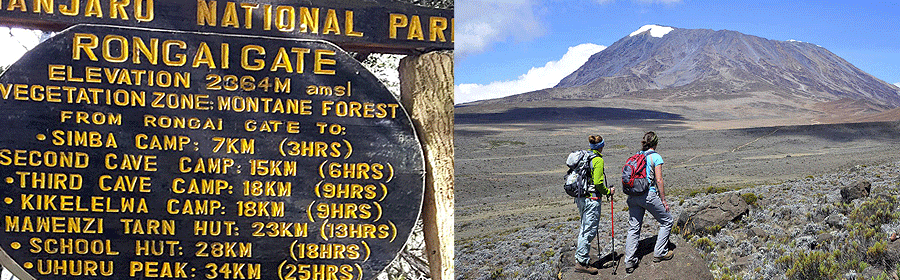Climbing Kilimanjaro on the Rongai Route