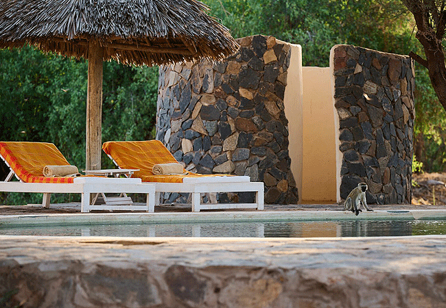 Saruni Rhino Camp Sera Community Conservancy Swimming Poool