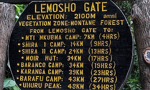 6 Days 5 Nights Mt Kilimanjaro Climbing, Hiking & Trekking (Shira Route) – From Arusha or Moshi Tanzania