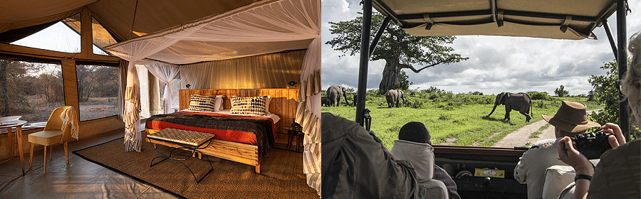 Kwihala Camp Ruaha National Park Tanzania