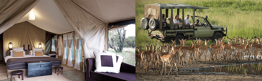 Dunia Camp Serengeti