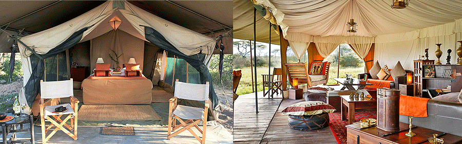 Ubuntu Migration Camp Serengeti National Park
