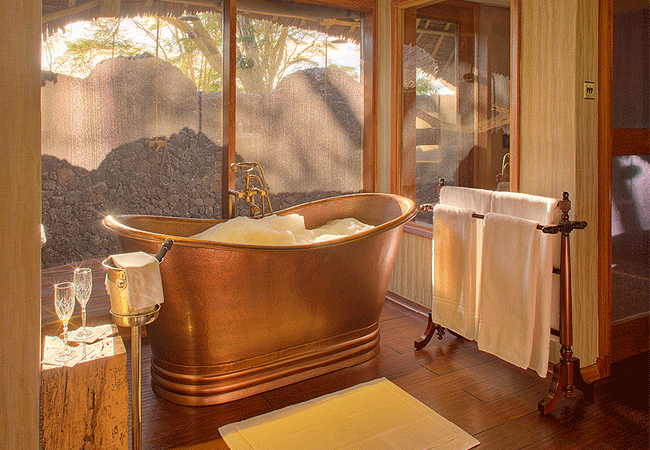finch-hattons-camp-luxury-tented-family-suite-have-indoor-and-outdoor-showers-and-free-standing-copper-bathtubs Finch Hattons Luxury Tented Family Suites