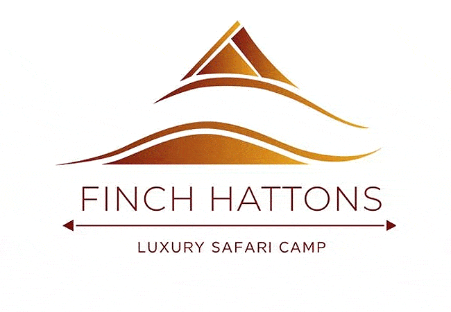 Finch Hattons Camp Luxury Tented Suites